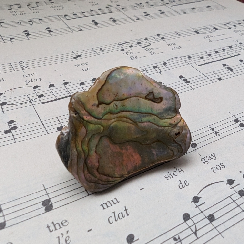 Iridescent Abalone Shell Brooch - Picture 8 of 11